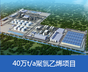 青島海灣化學有限公司年產40萬噸聚氯乙烯項目&倉儲及污水處理項目—鳥瞰圖